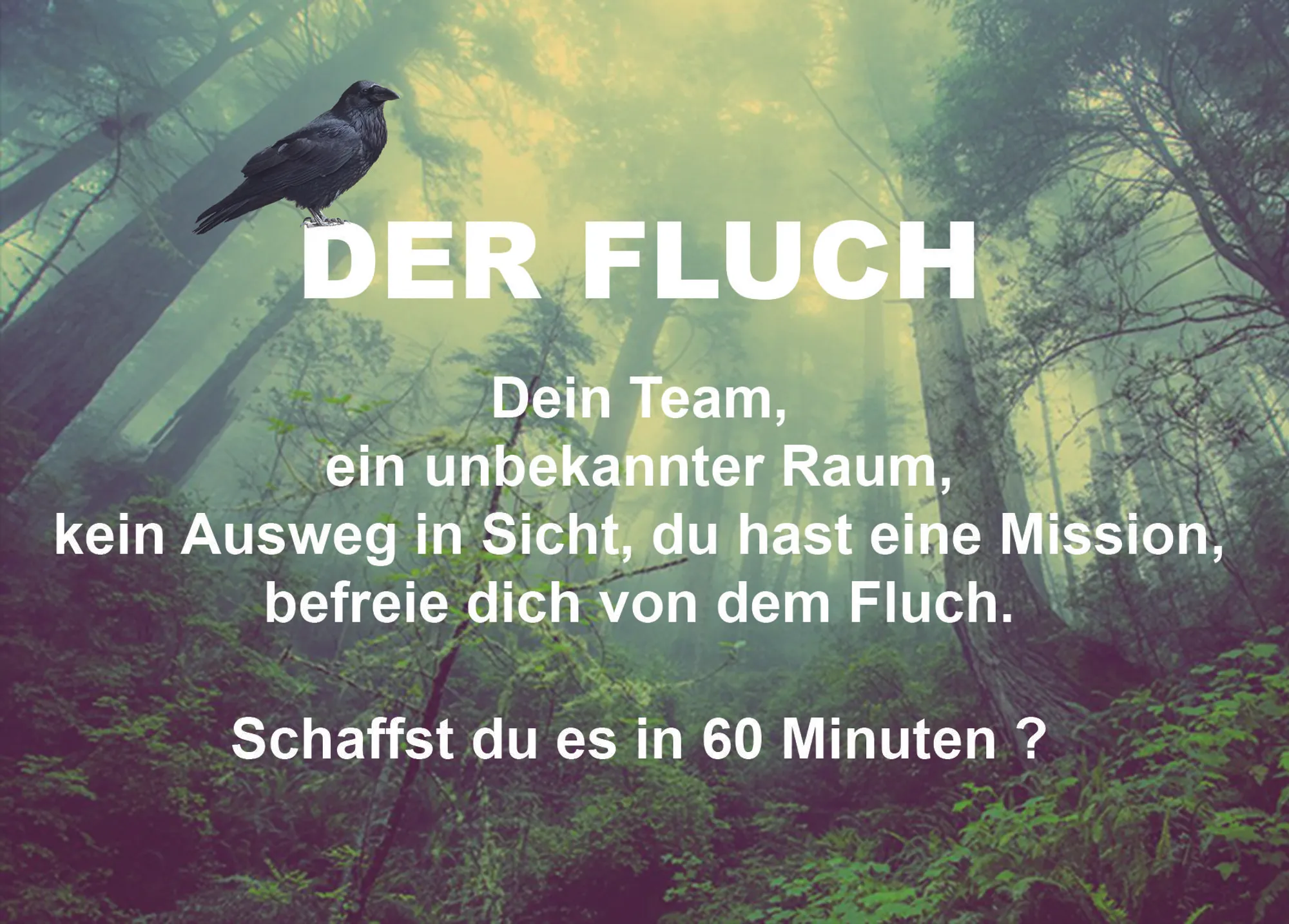 Der Fluch poster1